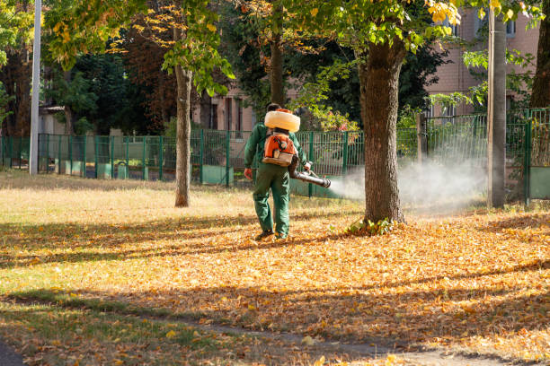 Best Residential Pest Control  in Blue Springs, MO